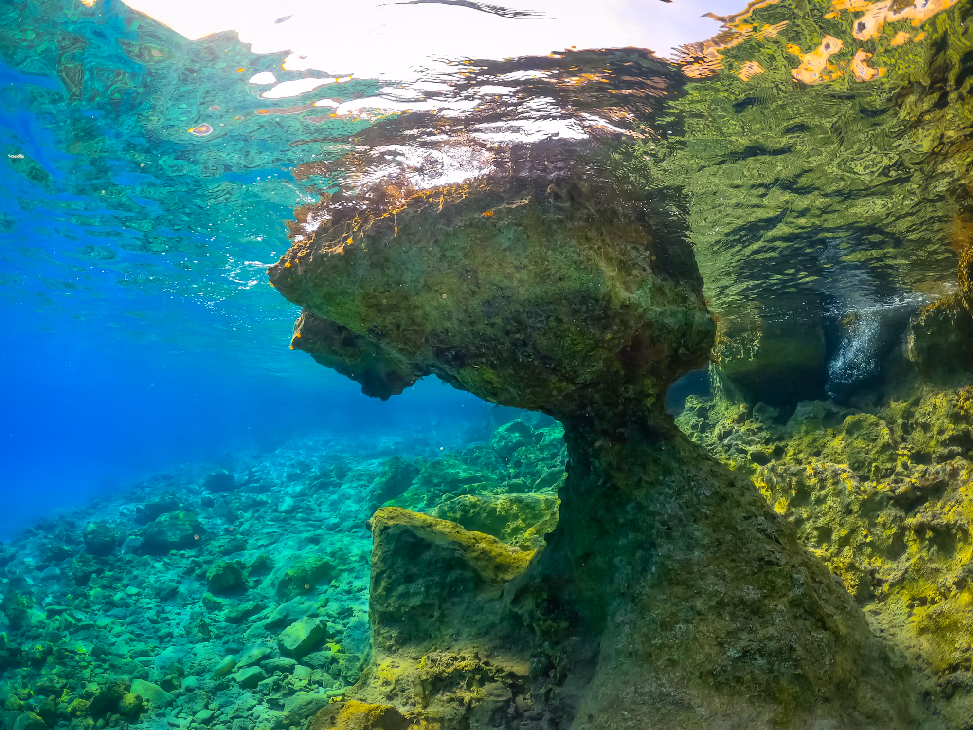Beneath the Surface: Discovering the Diverse World of Diving