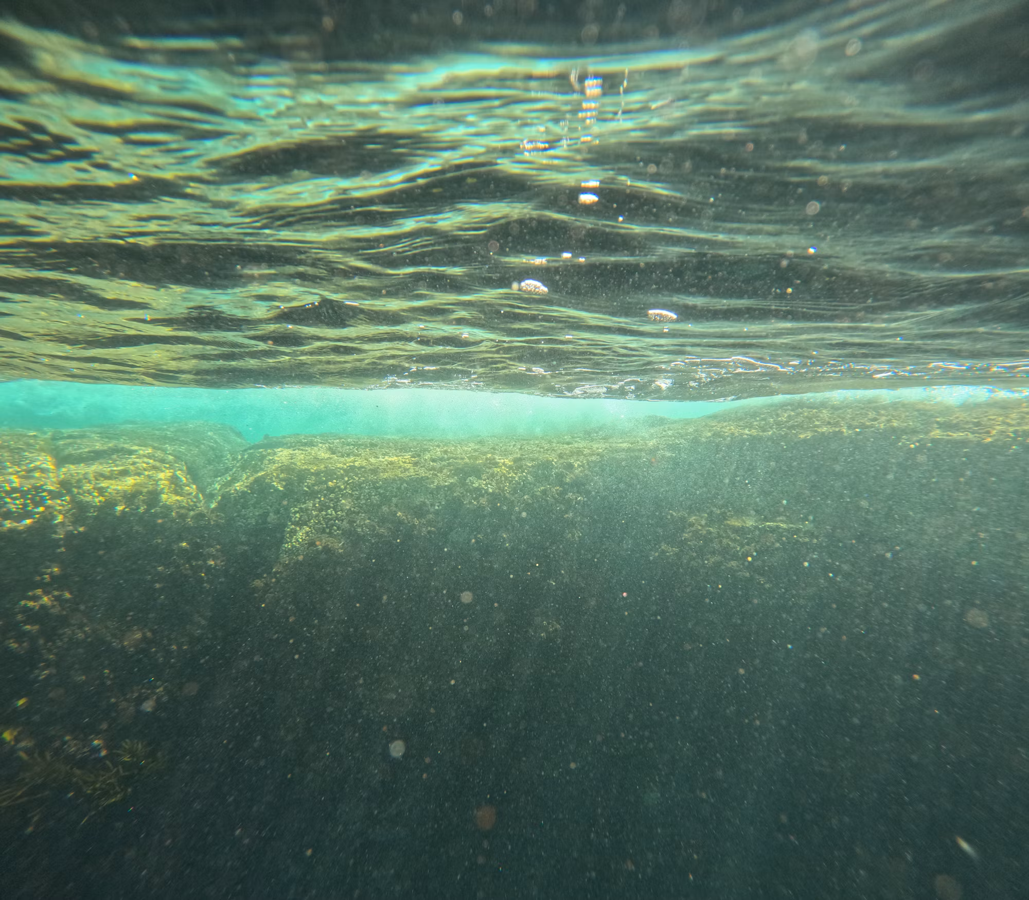 Discovering the Underwater World: A Guide to Diving Adventures