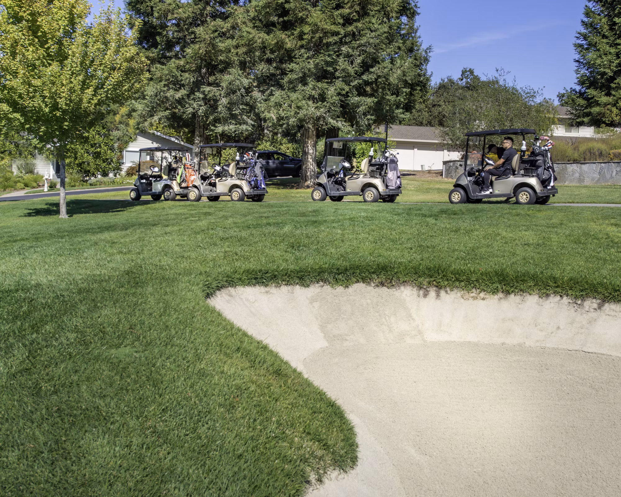 Exploring the Varied Formats of Golf: A Comprehensive Guide